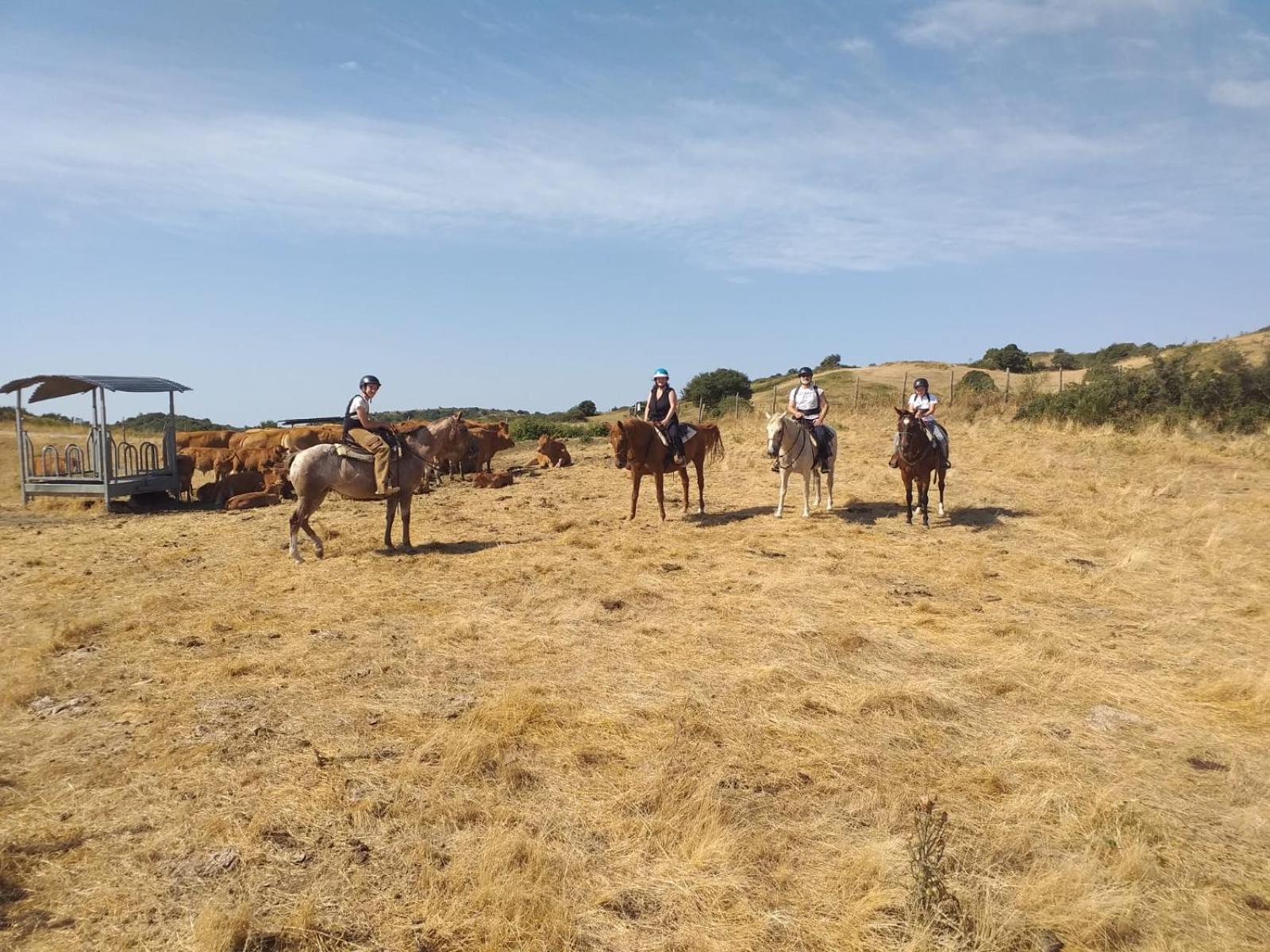 Agriturismo La Guinza Arcidosso Bagian luar foto