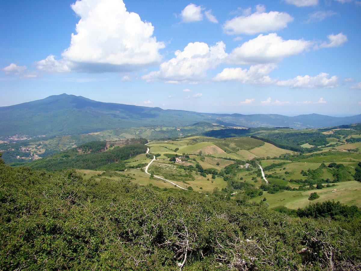 Agriturismo La Guinza Arcidosso Bagian luar foto