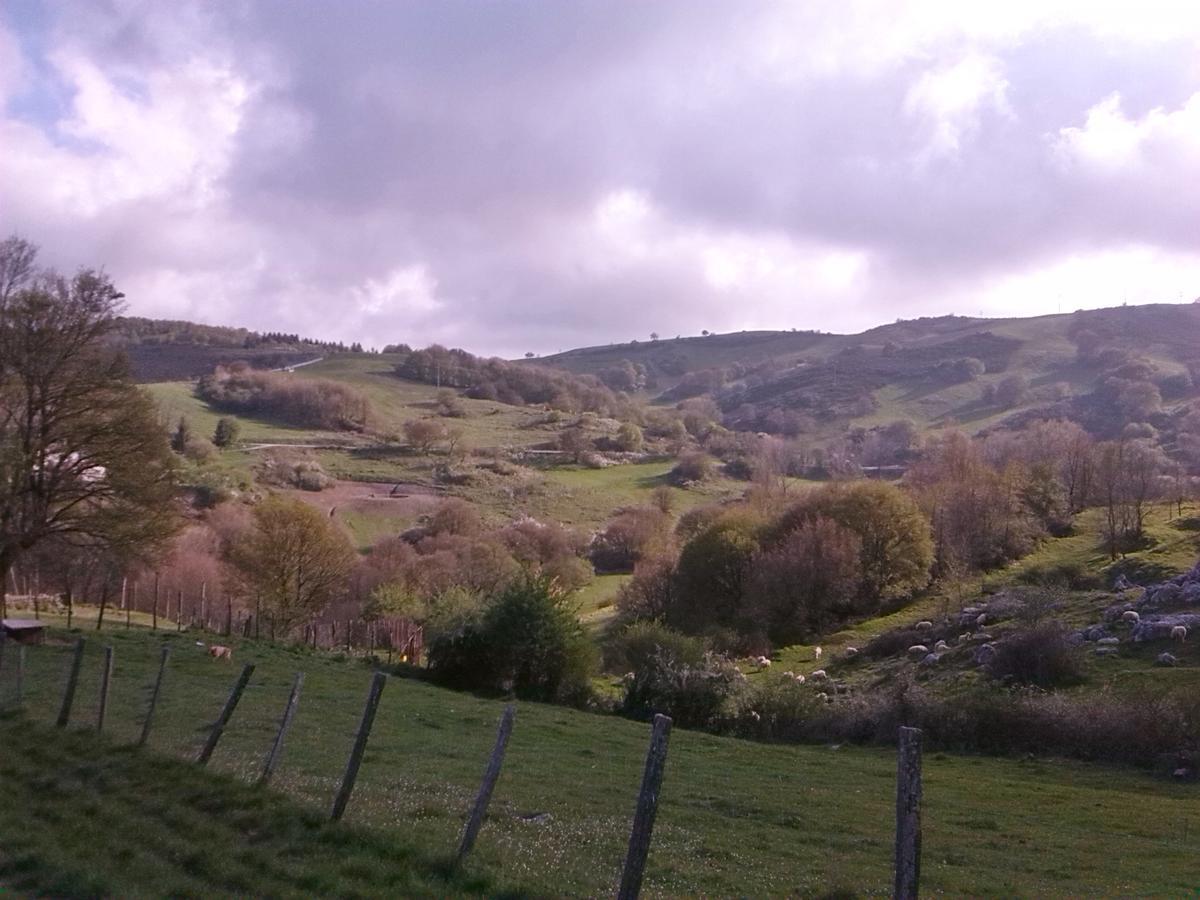 Agriturismo La Guinza Arcidosso Bagian luar foto
