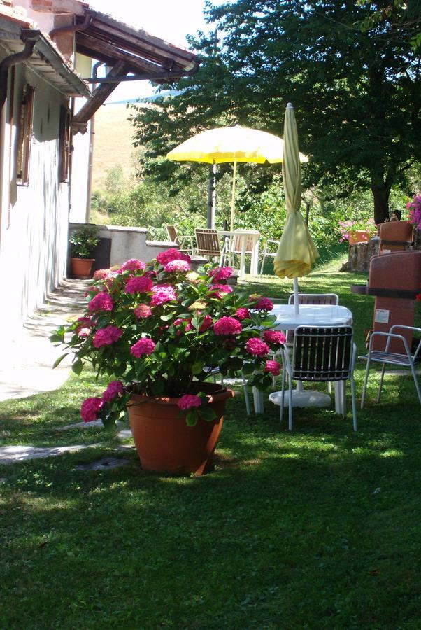 Agriturismo La Guinza Arcidosso Bagian luar foto
