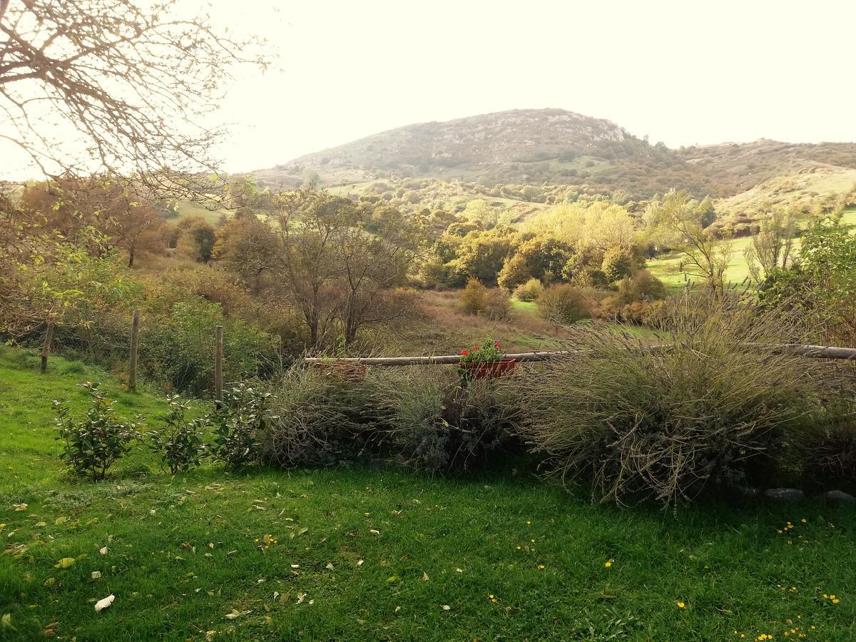 Agriturismo La Guinza Arcidosso Bagian luar foto