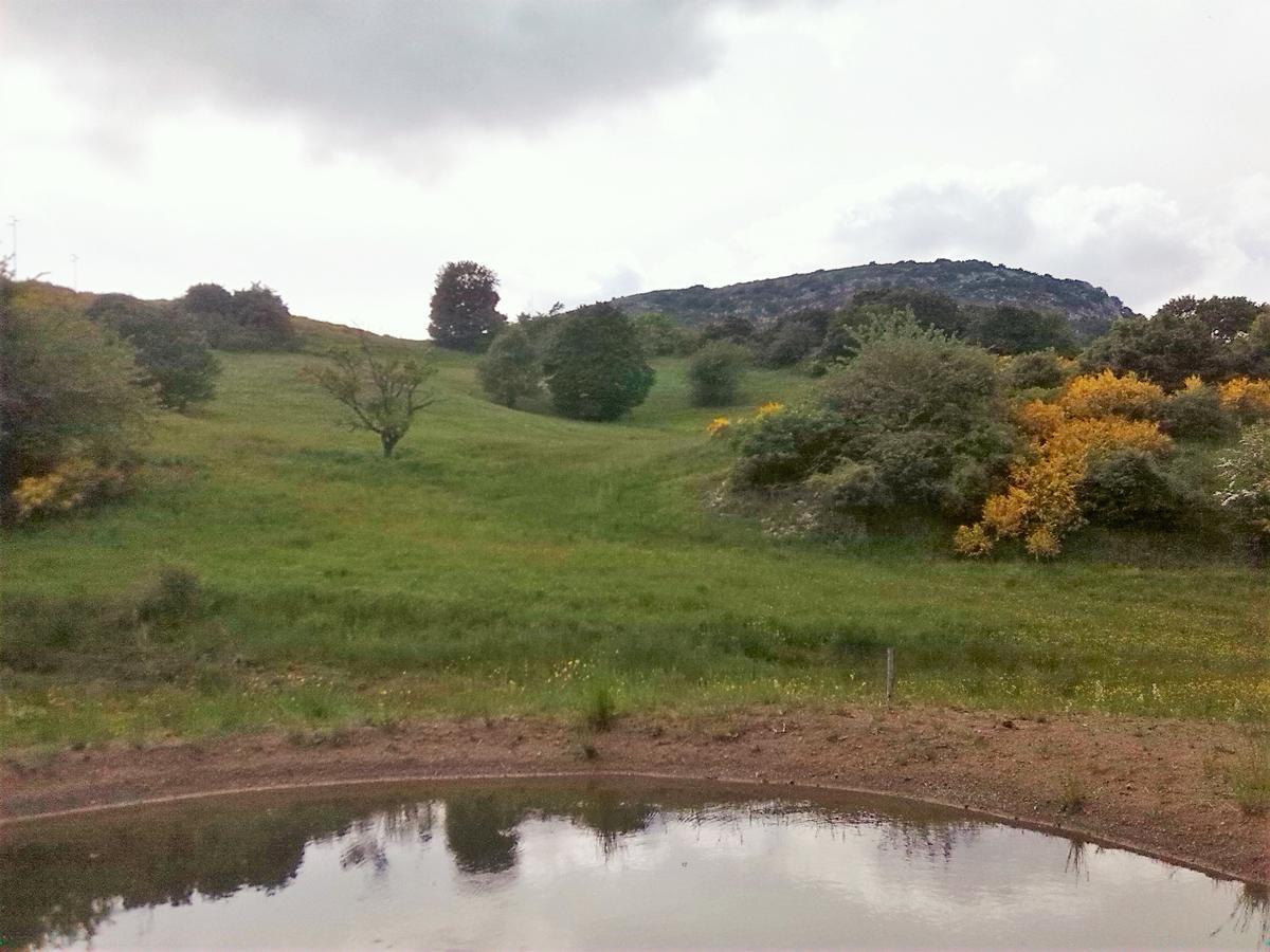 Agriturismo La Guinza Arcidosso Bagian luar foto