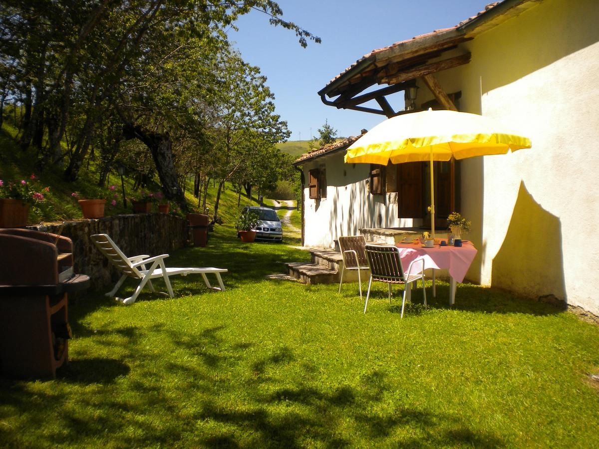 Agriturismo La Guinza Arcidosso Bagian luar foto