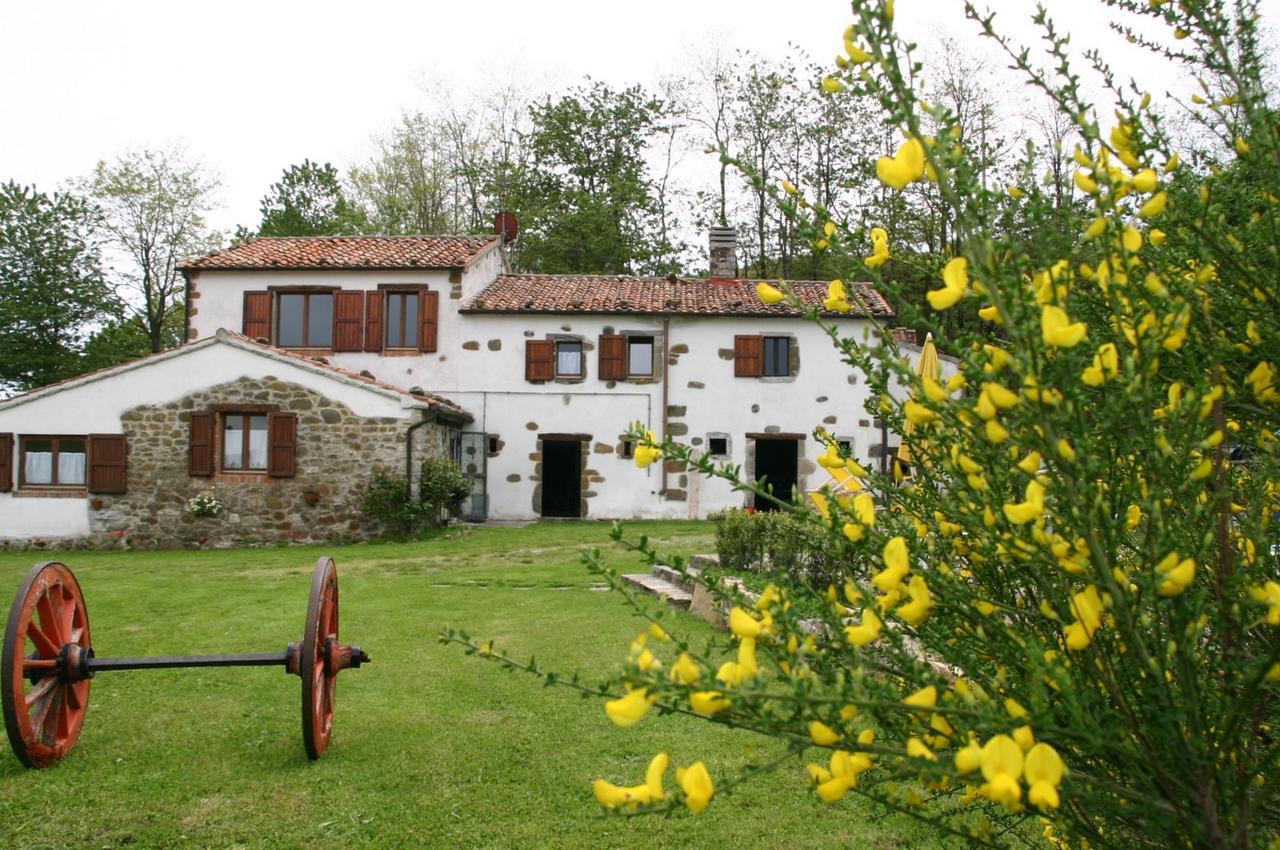 Agriturismo La Guinza Arcidosso Bagian luar foto
