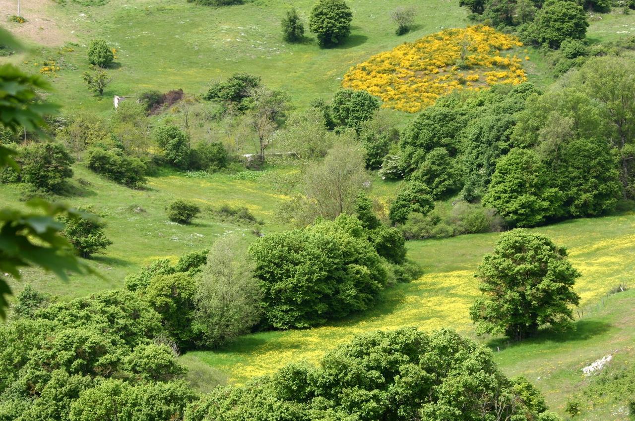 Agriturismo La Guinza Arcidosso Bagian luar foto