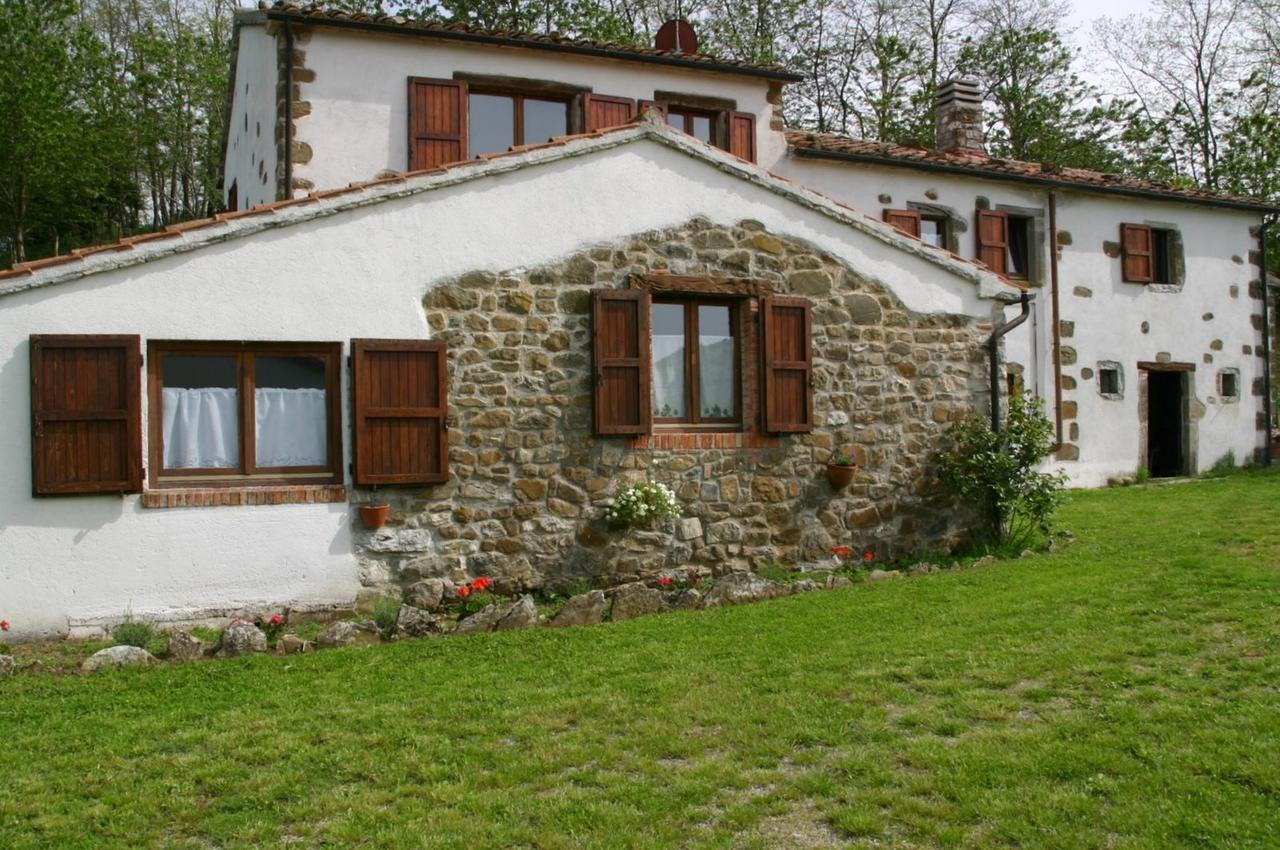 Agriturismo La Guinza Arcidosso Bagian luar foto